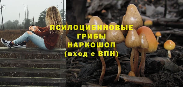 твердый Вяземский