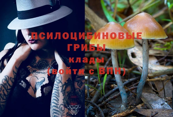 Альфа ПВП Володарск