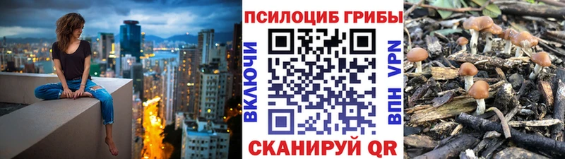 Галлюциногенные грибы ЛСД  сколько стоит  Нальчик 